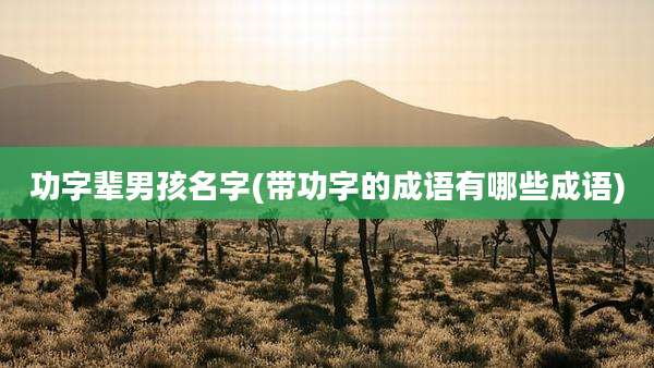 功字辈男孩名字(带功字的成语有哪些成语)