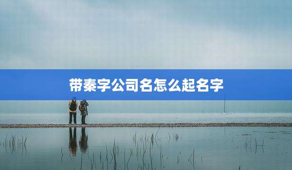 带秦字公司名怎么起名字