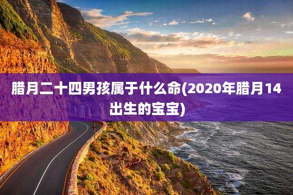 腊月二十四男孩属于什么命(2020年腊月14出生的宝宝)