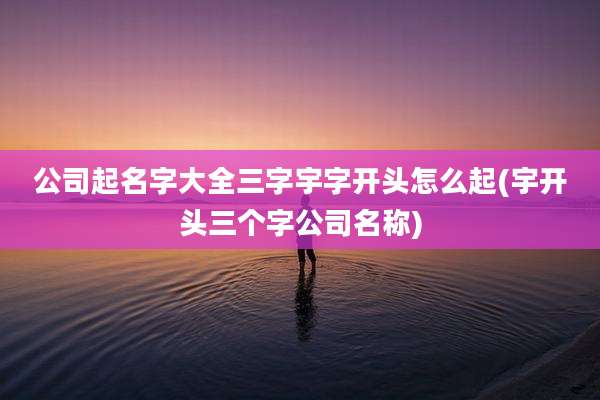 公司起名字大全三字宇字开头怎么起(宇开头三个字公司名称)