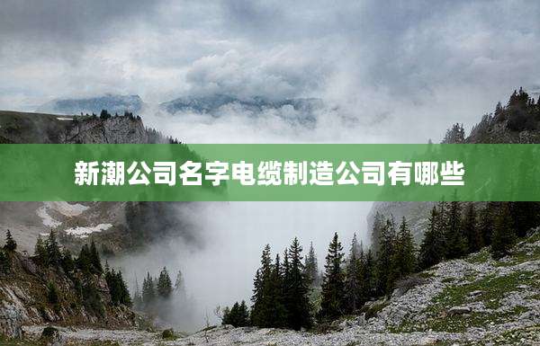 新潮公司名字电缆制造公司有哪些