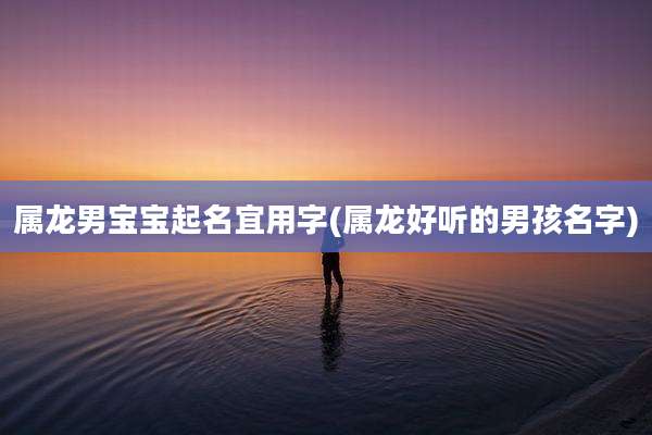 属龙男宝宝起名宜用字(属龙好听的男孩名字)