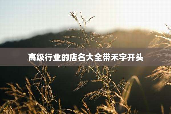 高级行业的店名大全带禾字开头