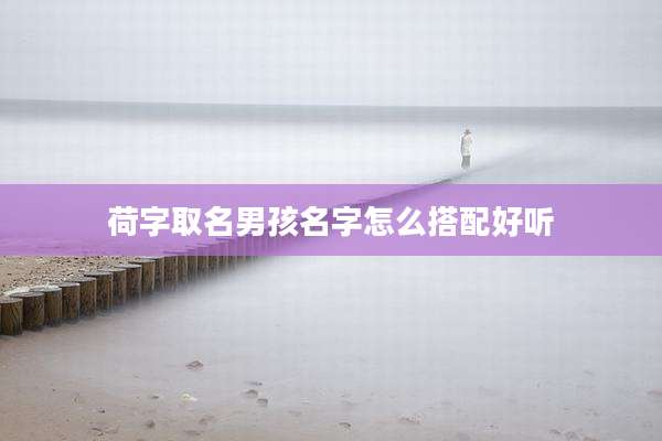 荷字取名男孩名字怎么搭配好听