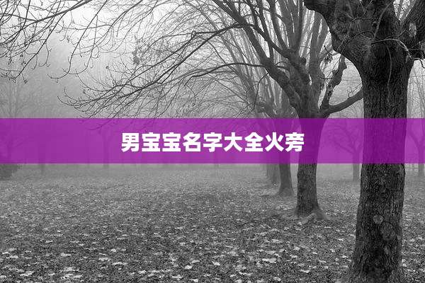 男宝宝名字大全火旁