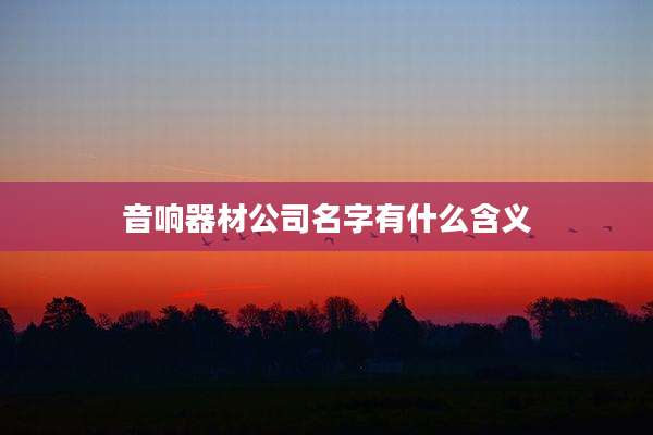 音响器材公司名字有什么含义