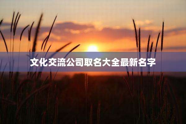 文化交流公司取名大全最新名字