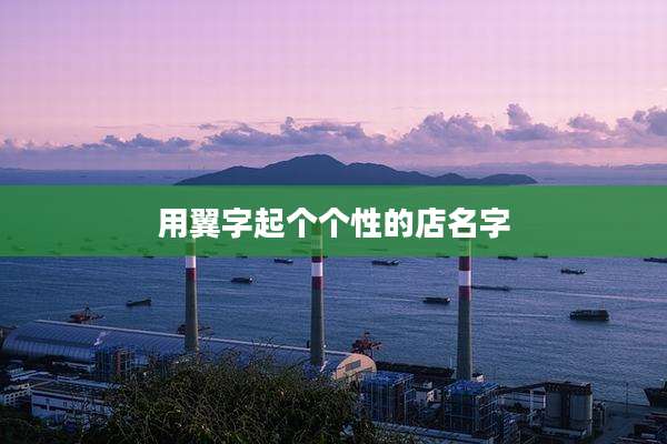 用翼字起个个性的店名字