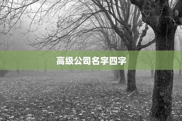 高级公司名字四字