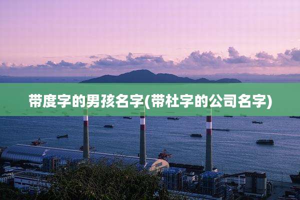 带度字的男孩名字(带杜字的公司名字)