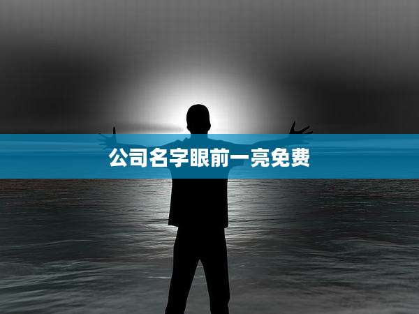 公司名字眼前一亮免费