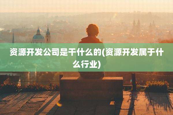 资源开发公司是干什么的(资源开发属于什么行业)