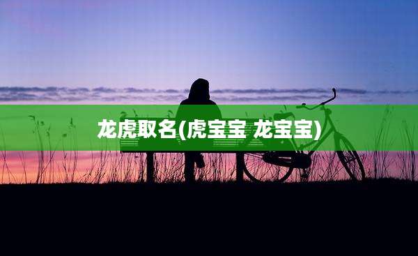 龙虎取名(虎宝宝 龙宝宝)