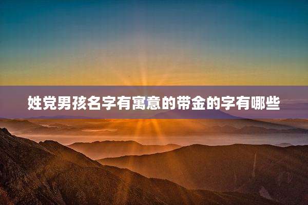 姓党男孩名字有寓意的带金的字有哪些