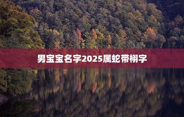 男宝宝名字2025属蛇带栩字