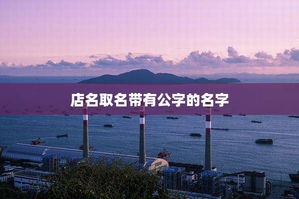 店名取名带有公字的名字
