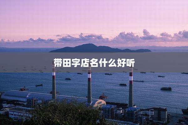 带田字店名什么好听