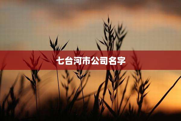 七台河市公司名字