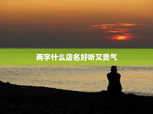 两字什么店名好听又贵气