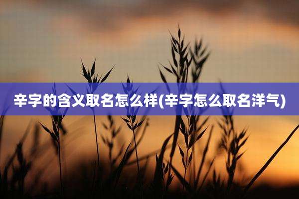 辛字的含义取名怎么样(辛字怎么取名洋气)