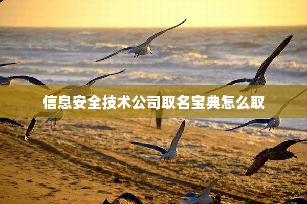 信息安全技术公司取名宝典怎么取