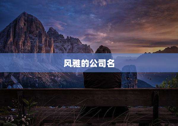 风雅的公司名
