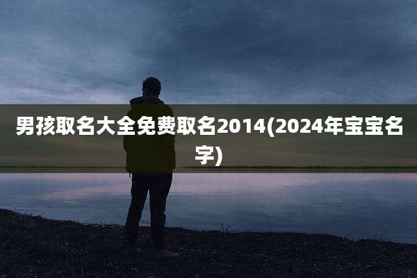 男孩取名大全免费取名2014(2024年宝宝名字)