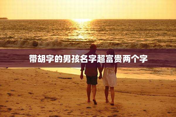 带胡字的男孩名字超富贵两个字