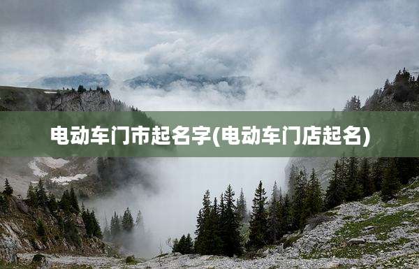 电动车门市起名字(电动车门店起名)