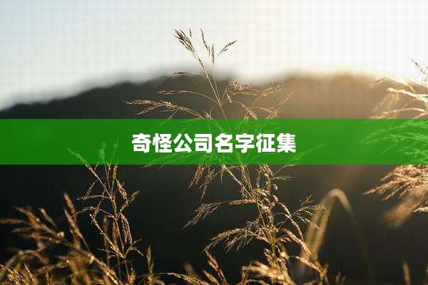 奇怪公司名字征集