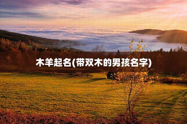 木羊起名(带双木的男孩名字)