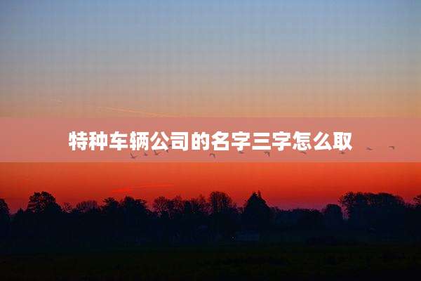 特种车辆公司的名字三字怎么取