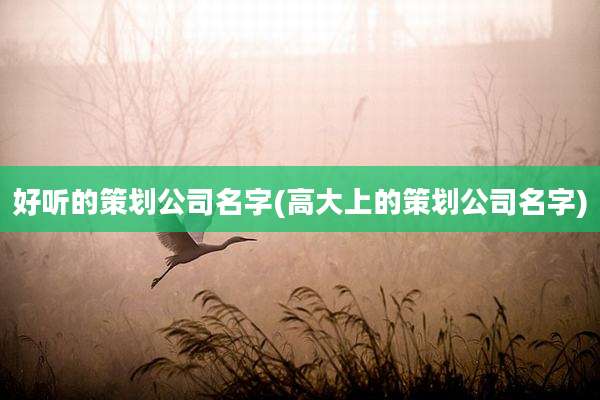好听的策划公司名字(高大上的策划公司名字)