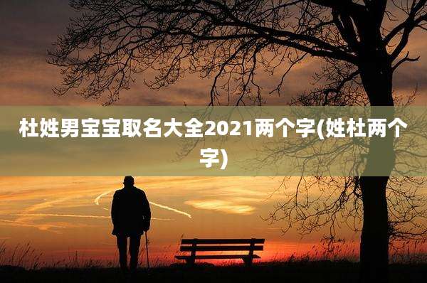 杜姓男宝宝取名大全2021两个字(姓杜两个字)