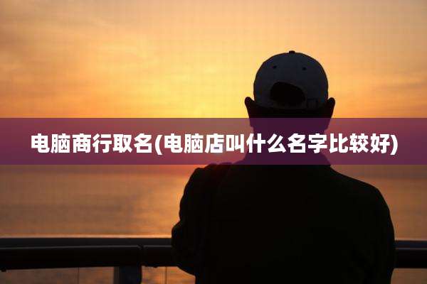 电脑商行取名(电脑店叫什么名字比较好)