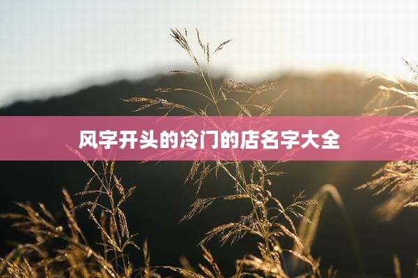 风字开头的冷门的店名字大全