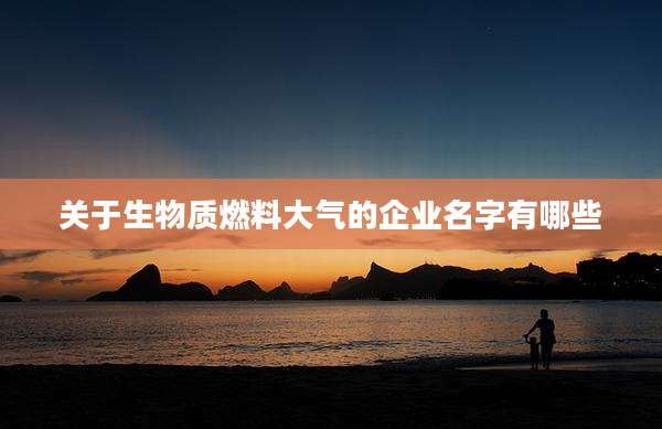 关于生物质燃料大气的企业名字有哪些