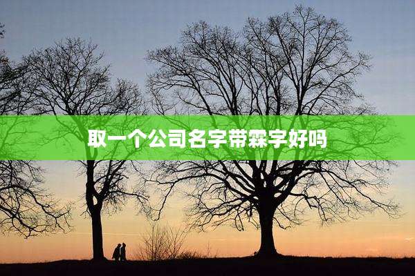 取一个公司名字带霖字好吗