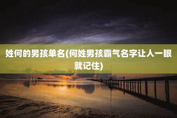 姓何的男孩单名(何姓男孩霸气名字让人一眼就记住)