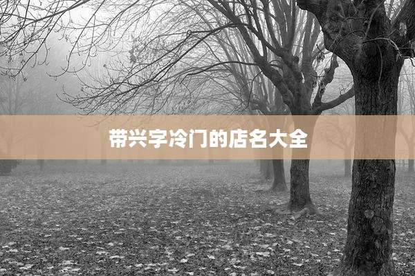 带兴字冷门的店名大全