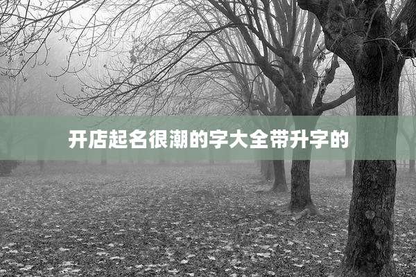 开店起名很潮的字大全带升字的