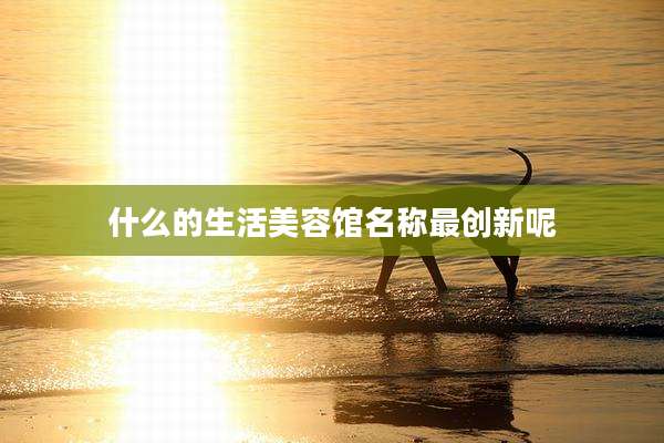 什么的生活美容馆名称最创新呢