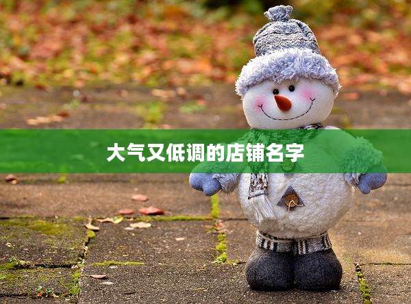 大气又低调的店铺名字
