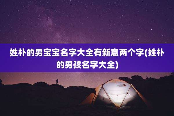 姓朴的男宝宝名字大全有新意两个字(姓朴的男孩名字大全)