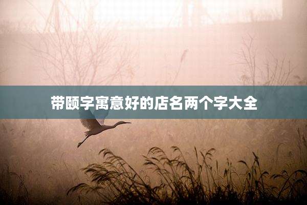 带颐字寓意好的店名两个字大全