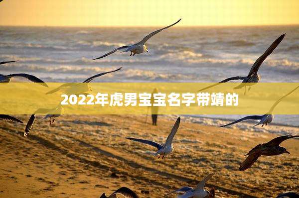 2022年虎男宝宝名字带靖的