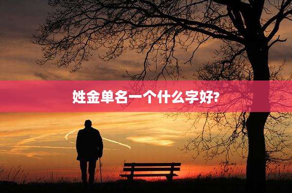 姓金单名一个什么字好?
