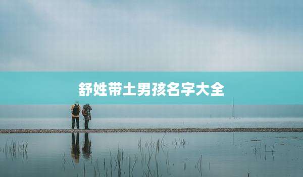舒姓带土男孩名字大全