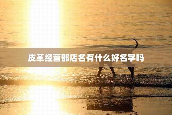 皮革经营部店名有什么好名字吗