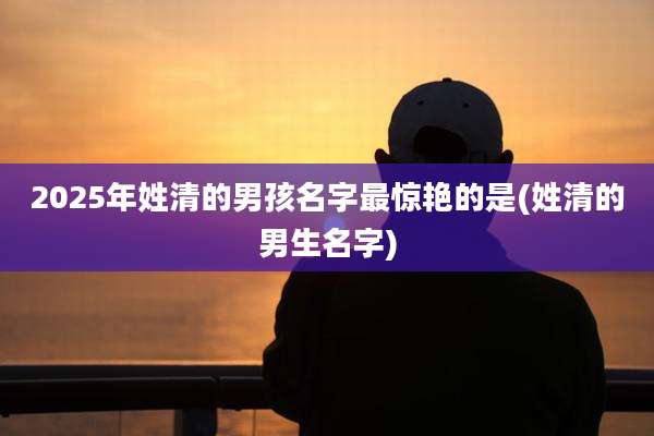 2025年姓清的男孩名字最惊艳的是(姓清的男生名字)